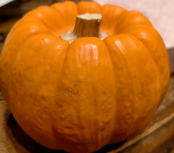 かぼちゃの写真